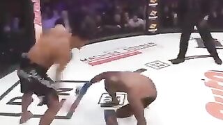 Best_knockouts_ever_in_MMA