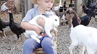 funny video
