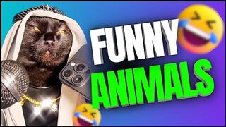 Forget stress and laughhard????the funniest animal