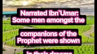 SAHIH BUKHARI HADEES 2015 صحیح البخاری حدیث