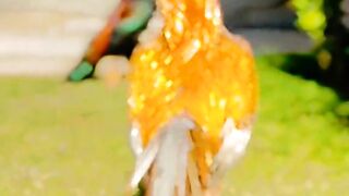 "Cluck & Peck: A Delightful Day in the Life of Chickens"