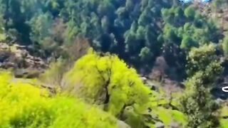 SAHIH BUKHARI HADEES 19 صحیح البخاری حدیث