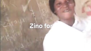 Zinodict fans