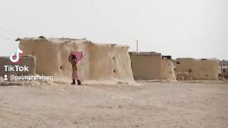 بادية مدينة تدمر