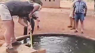 "wise"guys try to catch a snake