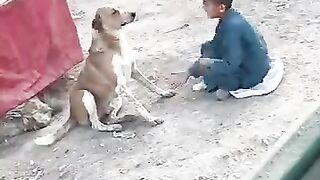 angry dog