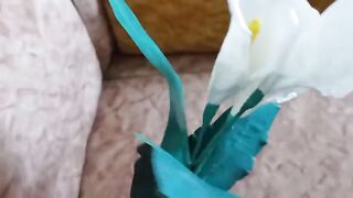 زهرة الزنبق من اكياس البلاستيك