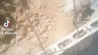 Viral