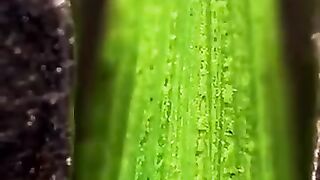 Interesting_Video_