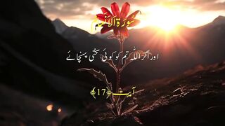 Urdu Quran # #quran #trending #viral #ytshorts #shorts #urdu #IslamicINFO
