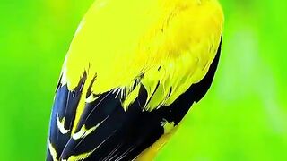 Subhan allah nature????????