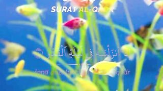 Quran pak sort qadar