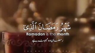 سکون قلب قرآن پاک کی تلاوت