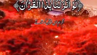 سکون قلب قرآن پاک کی تلاوت