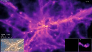 Simulation: A Disk Galaxy Forms