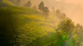 Sukoon .....#nature #naturevibes #natureview #naturereels #naturephotography #naturevideos