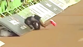 He was about to lose until this happened