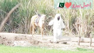 Pakistni former great person