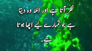 Aqwal e Zaren Mashkel