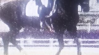 Ghora khel ki Maher tha horse is cheapiyan Dan's