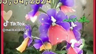Best to funny videos.real funny videos. funny video.viral funny video.latest funny video