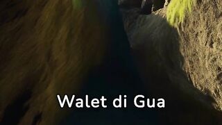 burung walet