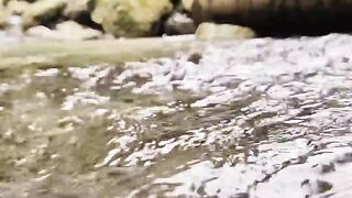Nature trip