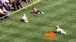 Baby Funny video,6 month baby running competition. ????????????