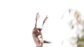 FEAR LESS DUCK BABY