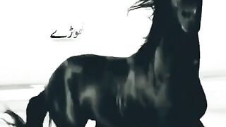 Mere nabi ke ghode