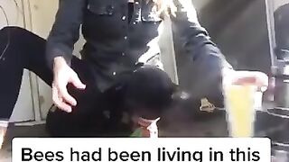 Saving The Bees