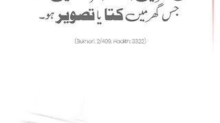 کتا یا تصویر: رحمت کے فرشتے کی آمد نہیں؟"