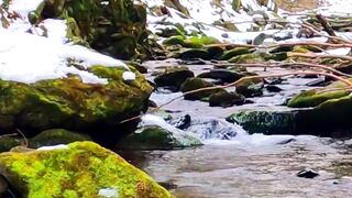 NATURE 4