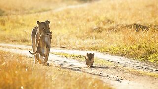 Mother l' fear????????????????