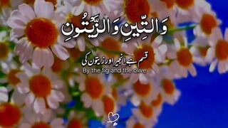 سورۃ التین بہترین آواز میں اردو ترجمہ کے ساتھ #quran##viral#muslim#foryou