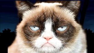 GRUMPY CAT HAPPY BIRTHDAY SONG (TOO FUNNY)