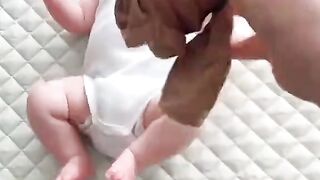 Baby transfermetion