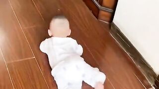 cute babies crawling