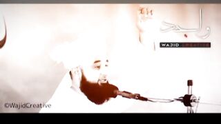 Saqab Raza mustafai new  videos