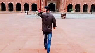 My pic video please follow me ❤️
