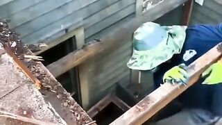 funny-viral