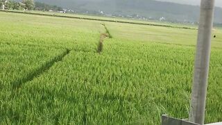 Beautiful scenery
