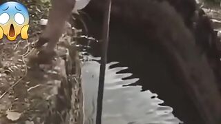 amazing funny vedio