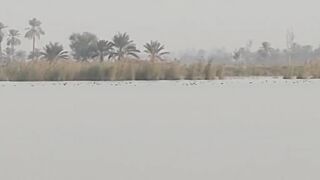 Natural village vedio