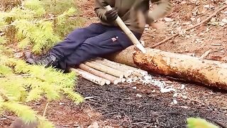 #bushcraft #build #building #camp #camping #shelter #primitive