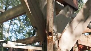 Building A Treehouse #treehouse #build #building #camp #camping #bushcraft #shelter #primitive