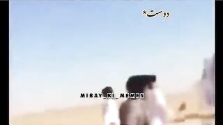 funny video ????????