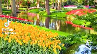 Natural Flowers #