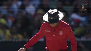 World cup 2015 final highlights