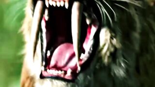 Saber-toothed Cats history greatest tiger species